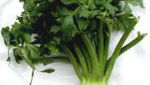 Zeller tápoldatozása